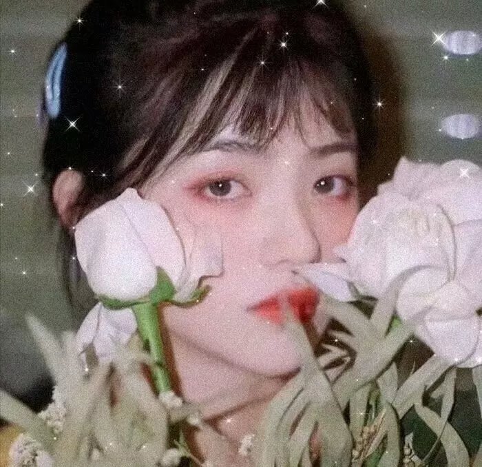水牛骑士